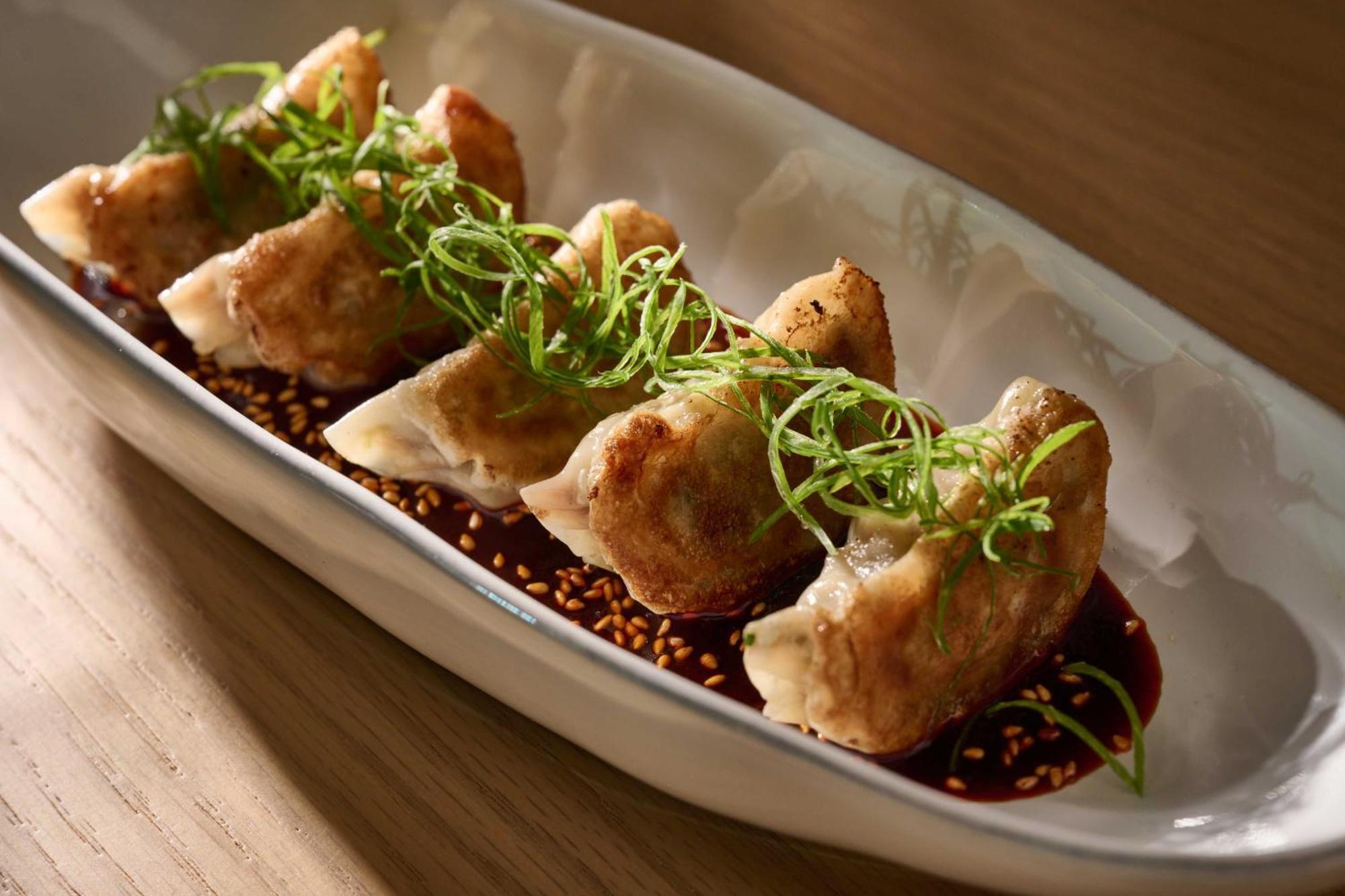 Hyatt Centric Jumeirah Dubai Exterior photo Fried dumplings